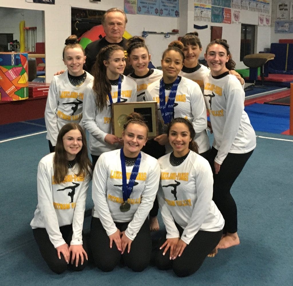 dymamic gymnastics high school gymnastics team